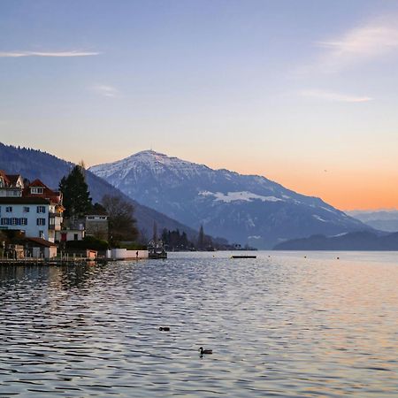 Ariser - Zug Mountain View Business Apartment 外观 照片
